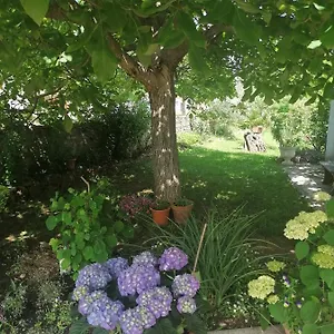  Appartamento Vellico